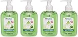 Himalaya PureHands Green Apple Hand Sanitizer (250ML, Pack of 4)