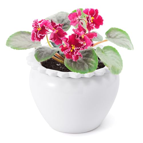 Lovely Ran African Violet Flower Pot Ceramic Self...