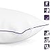 Queen Anne Luxury 100% Down Pillow - European White Goose and Duck Down Blend - Cruelty Free Hotel Pillows - Made in USA (King Medium)