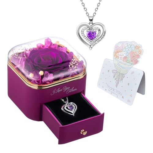 ESTARES vU[uhAp[v[Yn[glbNX ỉ AlAlA΂lAK[thւ̃Mtg | aALOANX}XAo^CAc̓̃Mtg