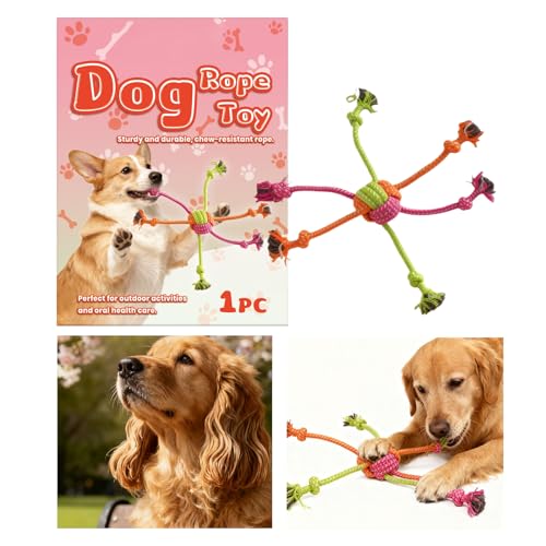 ƈVтłj, ϊvȃRbgybgpi, UI݌p[vgC, ދsPƂp