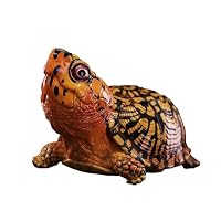 Amazon.co.jp: 動物惑星 6-8CM フロリダハコガメ ミツユビハコガメ