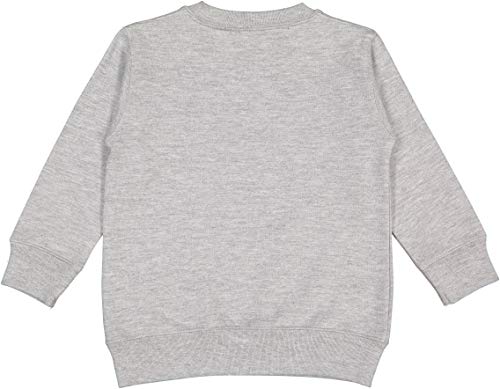 RABBIT SKINS Toddler Fleece Long Sleeve Pullover Sweatshirt, Heather, 2T2