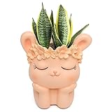 Cute Rabbit Succulent Planter - Adorable Resin Flower Pot for Plant Lovers and Home Decor Enthusiasts - Perfect Planters Pots for Succulents and Other Plants - 3.54 x 3.54 x 2.76 Inches