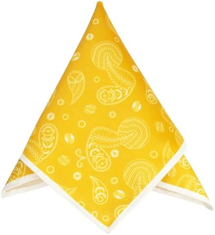 To The Nines Men's Pocket Square