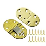 Contenu de l'emballage : le colis contient 2 charnières à rabat et 12 vis de montage ; chaque charnière mesure environ 65 x 38 mm et l'ensemble est évalué pour une charge maximale d'environ 25 kg pour manipuler les couvercles et les panneaux en toute confiance.