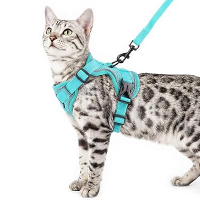 pangdi Cat Harness and Leash Set, Escape Proof Cat Vest, Turquoise, XL
