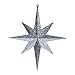 Vickerman 12" Pewter Glitter Bethlehem Star 2/Bag