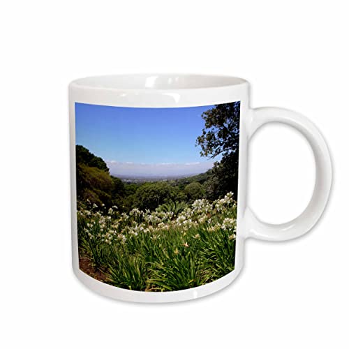 3dRose The Kirstenbosch Botanical Gardens in Cape Town, South Africa. 11oz Mug