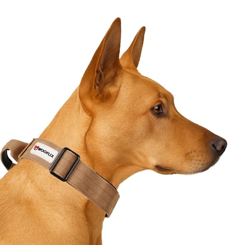 Image of Wooflix Metal Dog Collar for Training and Walks | Nylon Collar with Tactical Metal Buckle and D-Ring for Medium and Large Dogs | Dog Collar for Heavy Breed Dogs (Beige T2, Large)