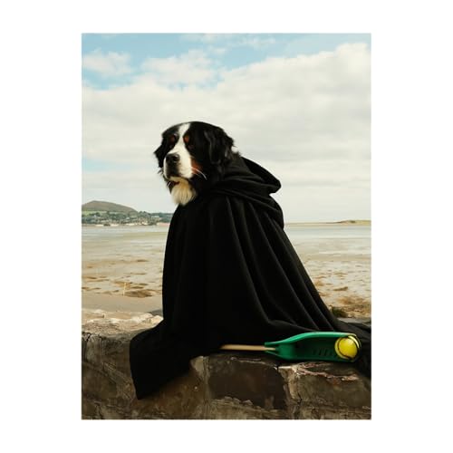 Sniffin&rsquo; Around Ireland with CuPooch cover art