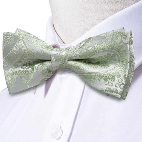 Image of Hi-Tie Bow Tie Men Pre Tied Bowtie Pocket Square Cufflinks Lapel Pin Formal Wedding Bow Ties for Men Party Tuxedo Bowtie Set,Light Green Paisley Floral