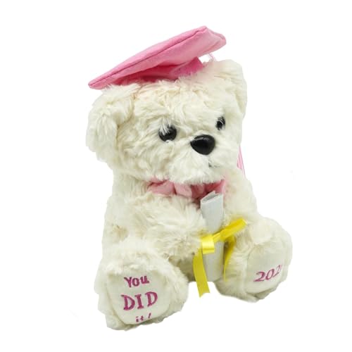 Ours en peluche de remise de diplôme 2026 collection école université
