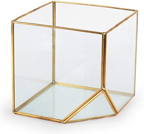 Circleware Terraria Glass Plant Terrarium with Metal Frame, Home-Decor Flower Balcony Display Box and Garden Gifts, 7.87”x10.24”, Square-Gold-7.8x10.2