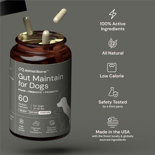 Image of Animal Biome Large Dog Pre and Probiotics, S Boulardii, Gut Maintain, 30 Ct | Triple-Action Dog Probiotics, Prebiotics & Phage S Boulardii Pet Supplements for Gut Health, Diarrhea Support, Food Topper