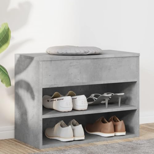 QZZCED Panca scarpiera con 2 ripiani e baule portaoggetti, seduta per scarpe e organizer per ingresso, design elegante per casa, spazio ampio e ventilato per scarpe,