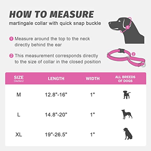 Luckydc Martingale Collar For Training Dogs. Adjustable Reflective Collars With Buckle-Usa Flag- No Pull-Prevents Slipping Out, For Medium Large Xl Dogs. Helps With Strong Pullers (Xl, Pink) #TOP5