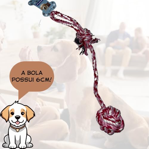 Kit 3 Mordedores Brinquedos Pets Ossinho e Corda Frango (Colorido)