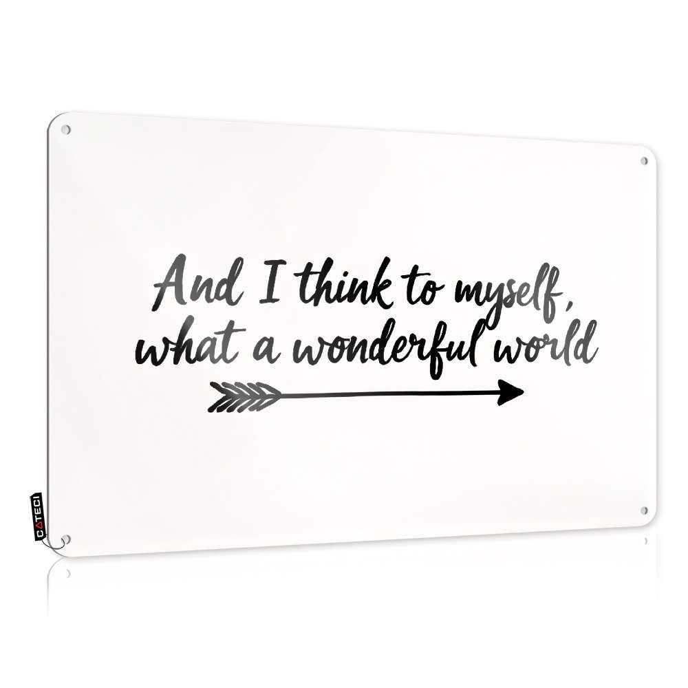 And I Think To Myself, What A Wonderful World Accessories Lovely - Painting Funny Vintage Signs Wall Art Decoration(20X30CM)