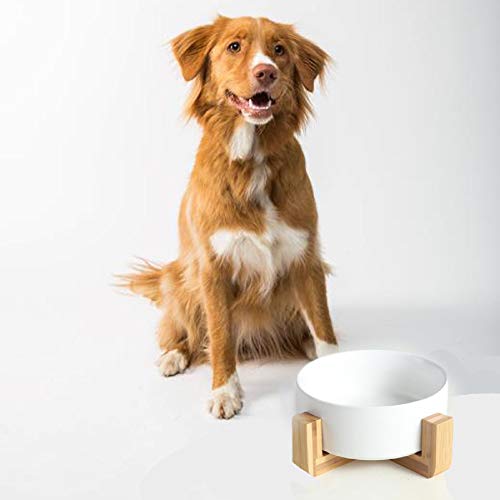 Ceramic Round Dog Cat Bowl With Wood Stand, Durable Ceramic Food Water Elevated Dish For Pet, Modern Cute Weighted Food Water Set, Ceramic Dogs Bowl With Stand, Cat Food & Water Bowl Set, 28Oz (White) #TOP5