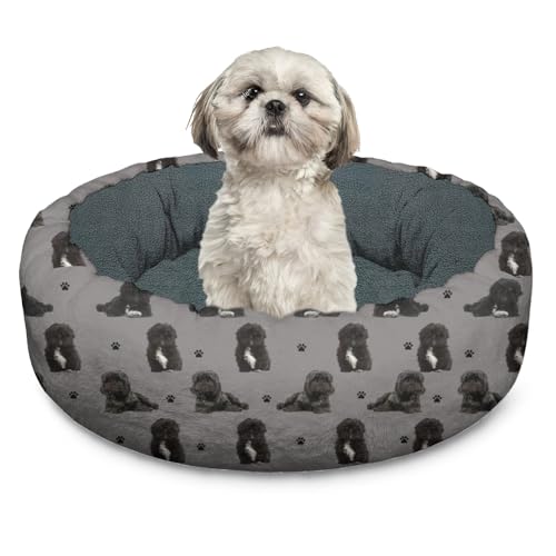 10 Best Dog Bed For Shih Tzu
