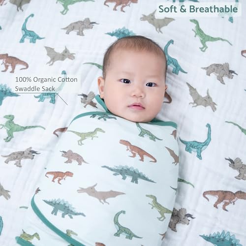 Image of LollyBanks Baby Swaddle, 100% Cotton Swaddle Sack for 3-6 Months Boys with Easy Change Zipper, Soft and Breathable Baby Wrap, Gentle Infant Sleep Sack, Newborn Essentials Must Haves (Dinosaur Print)