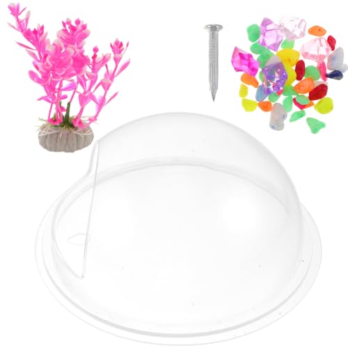 Alipis Wall Mounted Fish Tank Acrylic Aquarium Bowl 6.7 Inch Compact Fish Bowl for Home Decor with Transparent Design Suitable for and Plants