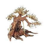 bonsai driftwood aquarium  HEYLULU Acuario Driftwood Bonsai Tree Adorno de Madera de Forma Irregular para pecera Ramas Naturales Decoración de Paisaje 4 tamaños Decoración de Acuario Bonsai Tree Driftwood 15#
