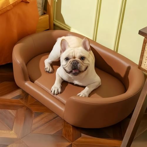 yt@Ng[ZRhzSɋ@\I(Ȃ)-啝B^p\t@xbhtFCNU[p\t@\t@\t@\t@\t@\t@\t@\t@rbOt@V[pƋX^Cxbh}bgX`Oȗp匢(uE)