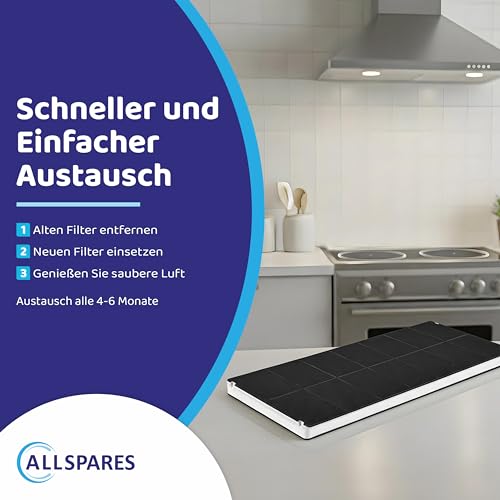 AllSpares Aktivkohlefilter für Dunstabzugshauben geeignet für Bosch DHZ3406, DHZ3405, 00296178, 296178 | Siemens LZ34500, LZ34501 | Neff Z5143X0 | Constructa CD53030 | 420x165x30mm