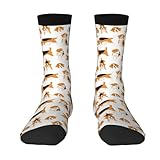 Tailles : longueur 18-21 cm, hauteur 18-21 cm, largeur d'un côté de la chaussette circonférence : 8-8,5 cm