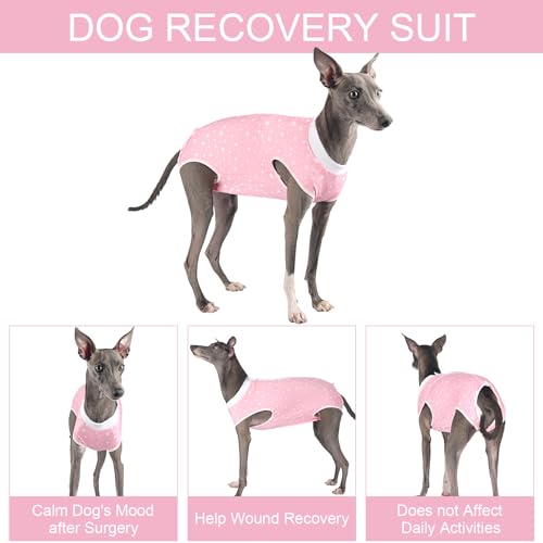 Image of Dog Surgery Suit Female Spay Recovery Suit for Dogs Surgical Recovery Suit for Female Dog Neuter Recovery Suit Male Dogs Onesie for Surgery Fits Small Medium Dog Pink Star /Large