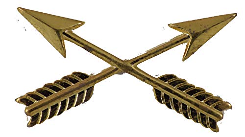 SPECIAL FORCES INSIGNIA PIN OR HAT PIN - Size 1