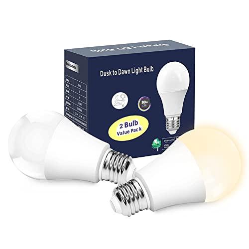 9+ Best outdoor light bulbs for cold weather (Survive EXTREME cold)