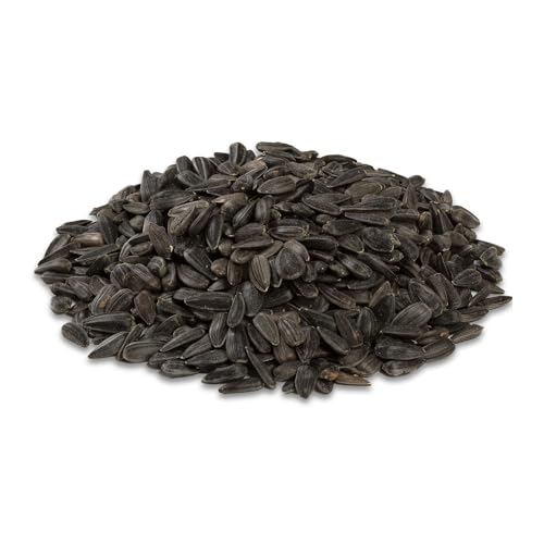 Audubon Park 12261 Black Oil Sunflower Seed Wild Bird Food, 10-Pounds - Thumbnail 3