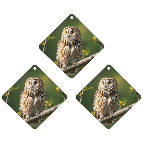3PCS Owl Tree Branches Car Air Freshener Hanging Scented Cards Cute Black Car Fresheners Long Lasting New Cars Scents for Women Men Natural Air Freshener with Lanyard Automotive Freshies