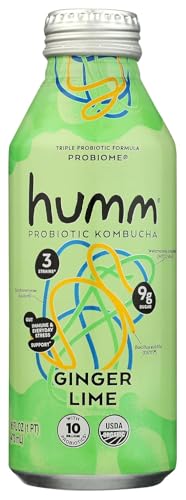 HUMM KOMBUCHA Organic Ginger Lime Probiome Kombucha, 16 FZ