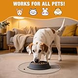LDYOEN 2 Stück Napfunterlage für Hund Katzen, Hundenapf Unterlage Katzennapf Unterlage aus Silikon, Hunde Katzen Futtermatte wasserdichte und rutschfeste Fressnapf mit Rand, 30x30cm, Beige