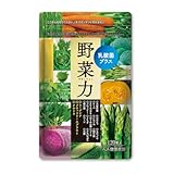 健康家族 野菜力・乳酸菌プラス 120粒入 15種類の国産野菜 ユーグレナ クロレラ ブロッコリースプラウト 野菜サプリ