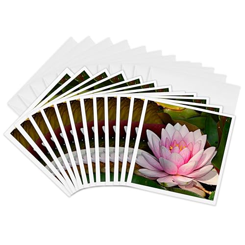 Cartes de vœux fleurs de lotus 3dRose roses en lot de 12 pour toutes les occasions de l'année