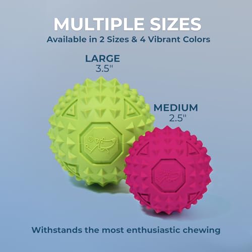 Image of Best Pet Supplies Interactive Squeaky Dog Chew Toy, Ideal Dog Toys for Chewers, Small, Medium & Large Dogs, and Fetch Lovers - Fuchsia, Green, Blue, Orange, Medium 2.5 inch