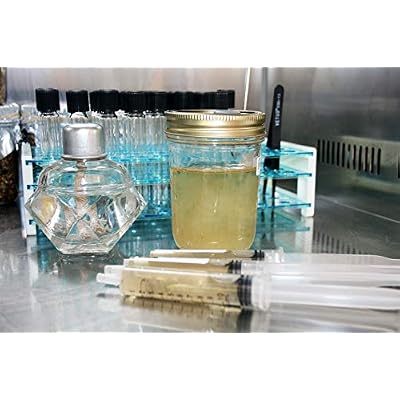 Root Mushroom Farm- Mushroom Liquid Culture/Bear's Head(Hericium americanum)