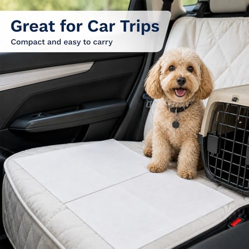 Image of RAINFLOW Dog Pee Pads, Puppy Training Pads 50 PCS, Disposable Absorbent