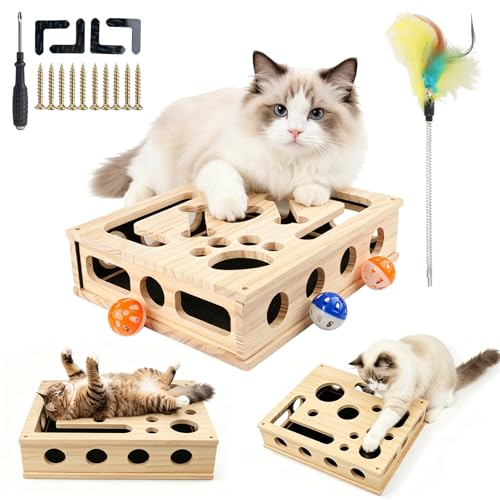 Bztzhm 2-in-1 Kratzpuzzle Katzen Set, Katzen Kratzbrett mit Sandpapier, 3 Glockenbällen， Feder und 4 Antirutschmatte, Interaktives Kratzboxen für Katzen Spielen, Entspannen und Krallenwetzen 30x25x8cm