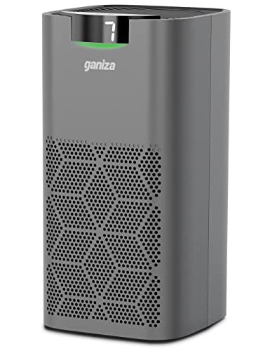 Air Purifiers For Home Large Room, Ganiza