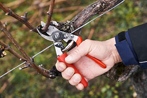 Felco Gartenschere Nr. 15 mit Rollgriff für präzise Schnitte
