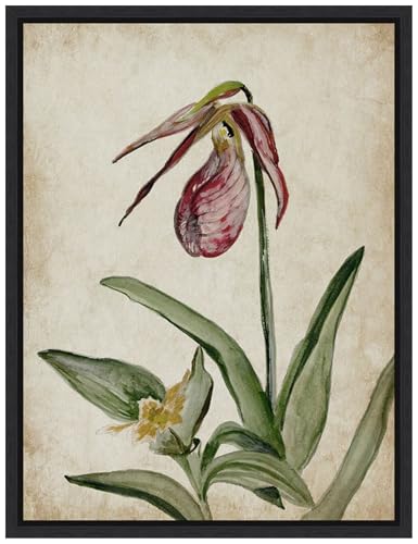 Amanti Art Framed Canvas Wall Art 24x18 Elegance Unveiled II