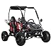 X-PRO Rover 110cc Go Kart with Automatic Transmission w/Reverse, LED Headlights, Big 16