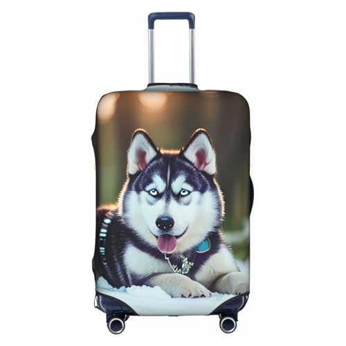 Housse protection polyester Husky blanc M pour salon propre sans poils