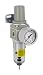 PneumaticPlus SAW2000M-N02BG Miniature Compressed Air Filter Regulator Combo Piggyback 1/4" NPT - Poly Bowl, Manual Drain, Bracket, Gauge